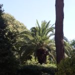 Jardines del Palacio Pedralbes en Barcelona - Diseño y construcción de jardine Barcelona