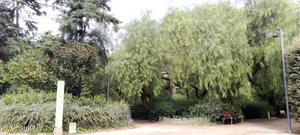 Refugios Climáticos Barcelona - Turó Parc: jardines y estanques en Barcelona - Servicios de reformas de terrazas Barcelona - plantas en maceta para terrazas Barcelona