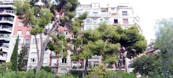 Refugios Climáticos Barcelona - Turó Parc: jardines y estanques en Barcelona - Servicios de reformas de terrazas Barcelona - plantas en maceta para terrazas Barcelona
