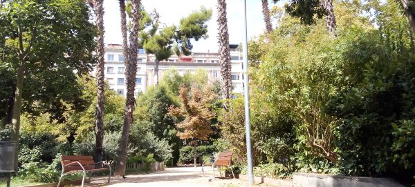 Palmeras Refugios Climáticos Barcelona - Turó Parc: jardines y estanques en Barcelona - Servicios de reformas de terrazas Barcelona - plantas en maceta para terrazas Barcelona