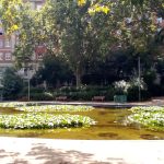 Estanque de agua Refugios Climáticos Barcelona - Turó Parc: jardines y estanques en Barcelona - Servicios de reformas de terrazas Barcelona - plantas en maceta para terrazas Barcelona