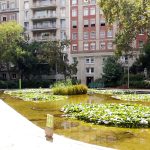Estanque de agua - Refugios Climáticos Barcelona - Turó Parc: jardines y estanques en Barcelona - Servicios de reformas de terrazas Barcelona - plantas en maceta para terrazas Barcelona