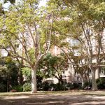 Refugios Climáticos Barcelona - Turó Parc: jardines y estanques en Barcelona - Servicios de reformas de terrazas Barcelona - plantas en maceta para terrazas Barcelona