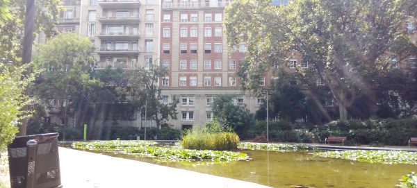 Refugios Climáticos Barcelona - Turó Parc: jardines y estanques en Barcelona - Servicios de reformas de terrazas Barcelona - plantas en maceta para terrazas Barcelona